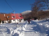 DSCN0930